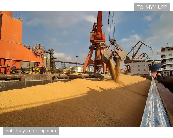 商务部：中美大豆、机购谈判若要突破，美方须先解除障碍，中美大豆价格比较